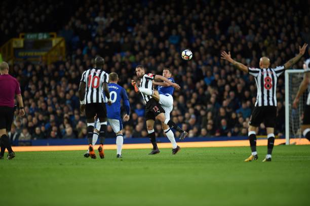 雷斯本季的 雷斯本季的